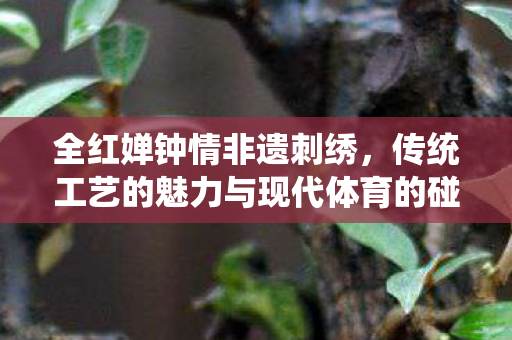 全红婵钟情非遗刺绣，传统工艺的魅力与现代体育的碰撞