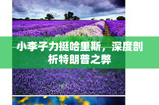 小李子力挺哈里斯，深度剖析特朗普之弊