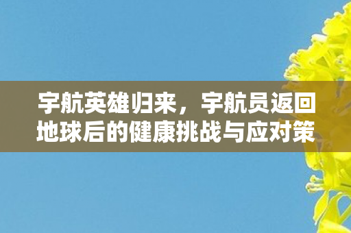 宇航英雄归来，宇航员返回地球后的健康挑战与应对策略
