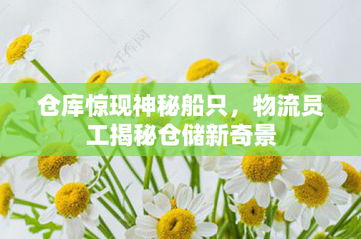 仓库惊现神秘船只，物流员工揭秘仓储新奇景