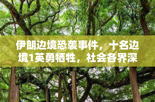 伊朗边境恐袭事件，十名边境1英勇牺牲，社会各界深切哀悼
