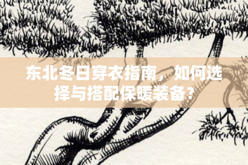 东北冬日穿衣指南，如何选择与搭配保暖装备？