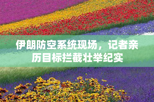 伊朗防空系统现场，记者亲历目标拦截壮举纪实