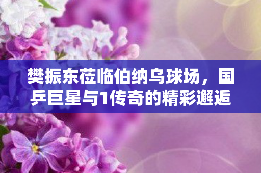 樊振东莅临伯纳乌球场，国乒巨星与1传奇的精彩邂逅