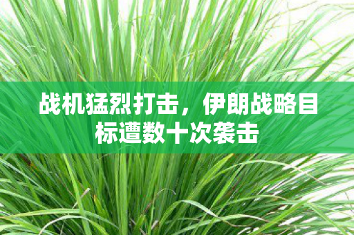 战机猛烈打击，伊朗战略目标遭数十次袭击