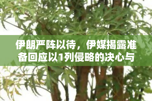 伊朗严阵以待，伊媒揭露准备回应以1列侵略的决心与实力