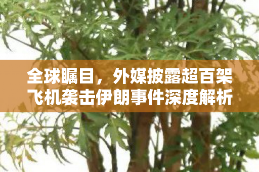 全球瞩目，外媒披露超百架飞机袭击伊朗事件深度解析