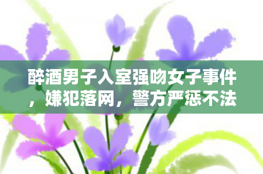 醉酒男子入室强吻女子事件，嫌犯落网，警方严惩不法行为