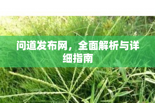 问道发布网，全面解析与详细指南