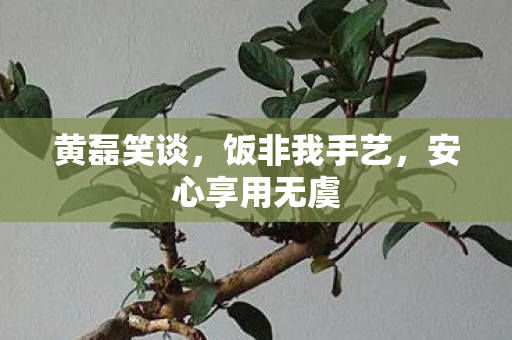 黄磊笑谈，饭非我手艺，安心享用无虞