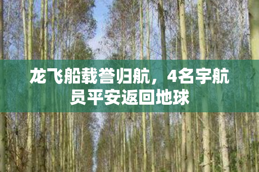 龙飞船载誉归航，4名宇航员平安返回地球