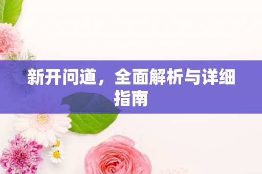 新开问道，全面解析与详细指南