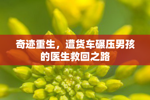 奇迹重生，遭货车碾压男孩的医生救回之路