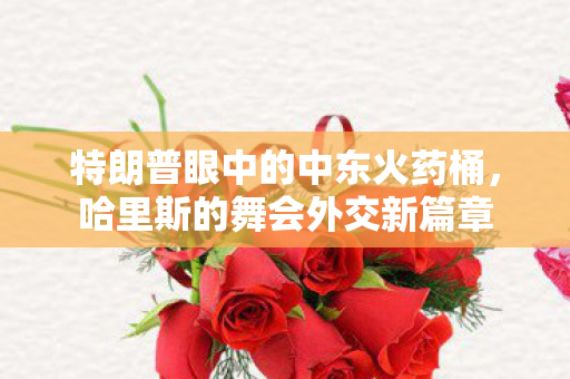 特朗普眼中的中东火药桶，哈里斯的舞会外交新篇章