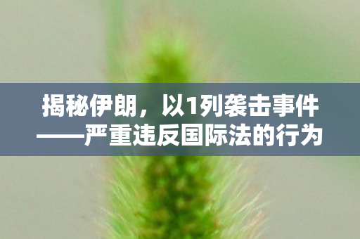揭秘伊朗，以1列袭击事件——严重违反国际法的行为