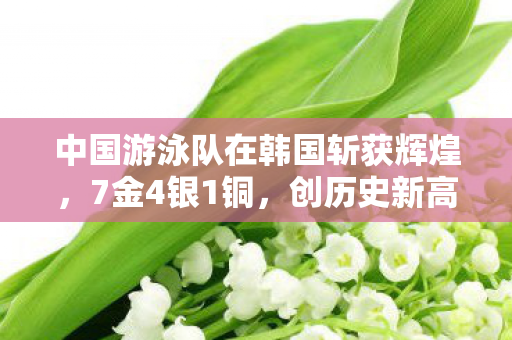 中国游泳队在韩国斩获辉煌，7金4银1铜，创历史新高！