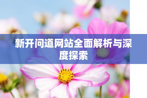 新开问道网站全面解析与深度探索