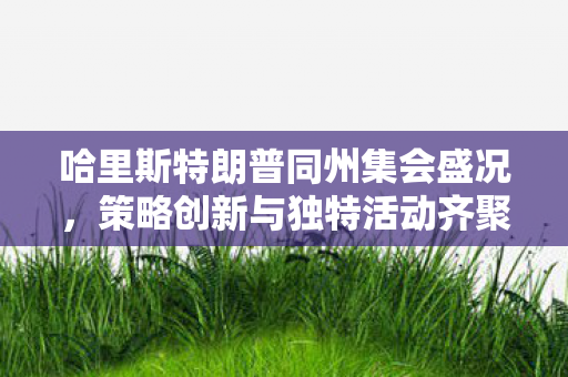 哈里斯特朗普同州集会盛况，策略创新与独特活动齐聚一堂