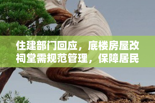 住建部门回应，底楼房屋改祠堂需规范管理，保障居民权益