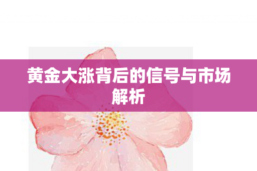 黄金大涨背后的信号与市场解析