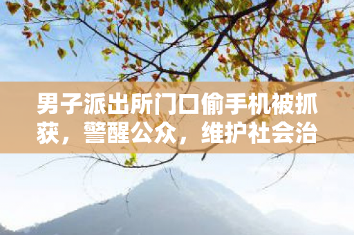 男子派出所门口偷手机被抓获，警醒公众，维护社会治安秩序
