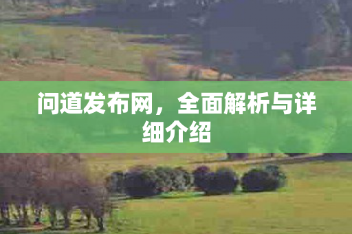问道发布网，全面解析与详细介绍