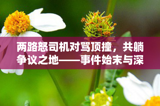 两路怒司机对骂顶撞，共躺争议之地——事件始末与深度分析