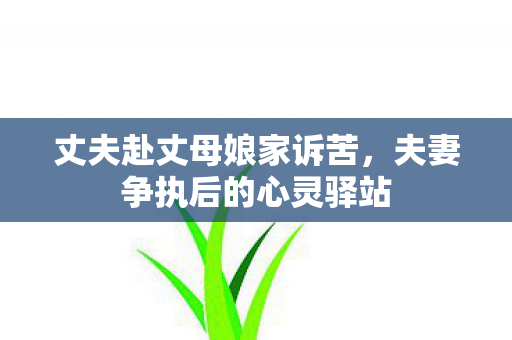 丈夫赴丈母娘家诉苦，夫妻争执后的心灵驿站