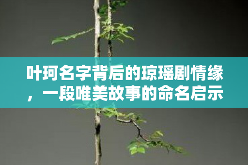 叶珂名字背后的琼瑶剧情缘，一段唯美故事的命名启示