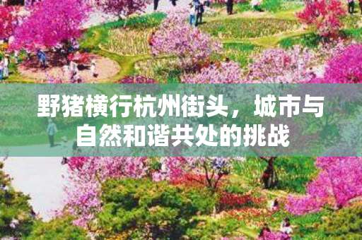 野猪横行杭州街头，城市与自然和谐共处的挑战