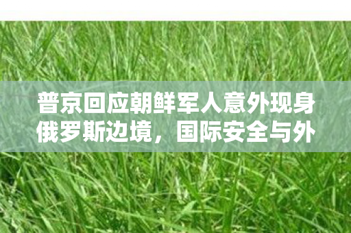 普京回应朝鲜军人意外现身俄罗斯边境，国际安全与外交策略的深度解析