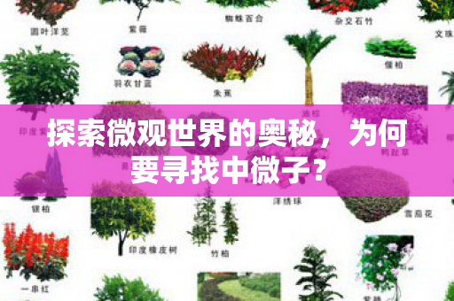 探索微观世界的奥秘，为何要寻找中微子？