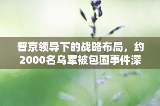 普京领导下的战略布局，约2000名乌军被包围事件深度解析