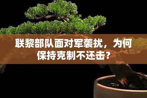 联黎部队面对军袭扰，为何保持克制不还击？