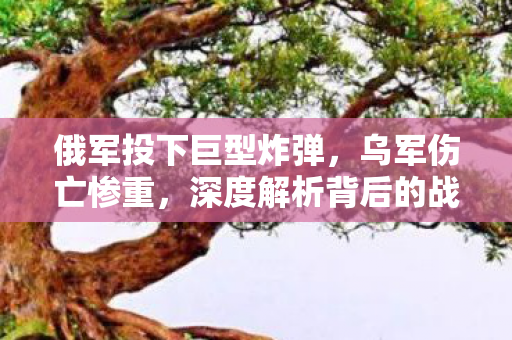 俄军投下巨型炸弹，乌军伤亡惨重，深度解析背后的战争动态