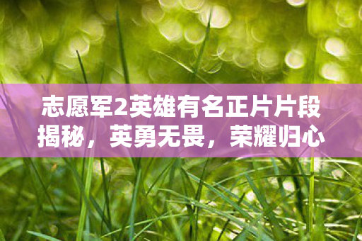 志愿军2英雄有名正片片段揭秘，英勇无畏，荣耀归心
