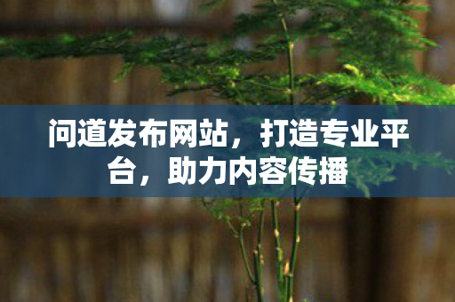 问道发布网站，打造专业平台，助力内容传播