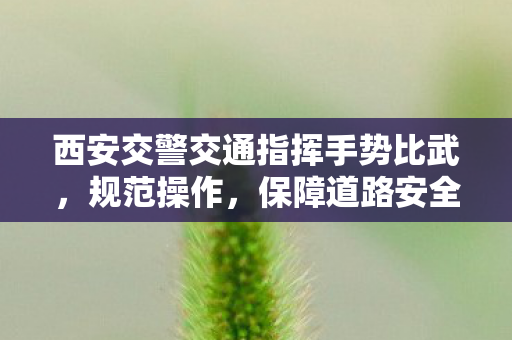 西安交警交通指挥手势比武，规范操作，保障道路安全