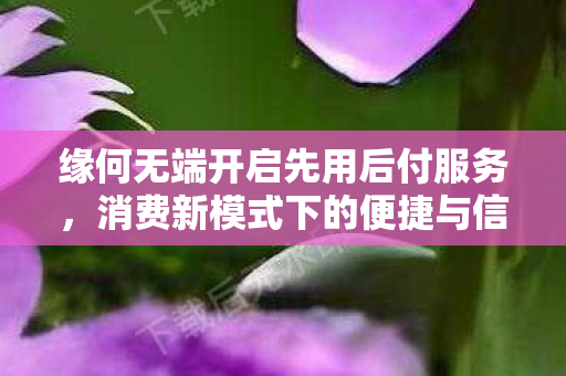 缘何无端开启先用后付服务，消费新模式下的便捷与信任探索