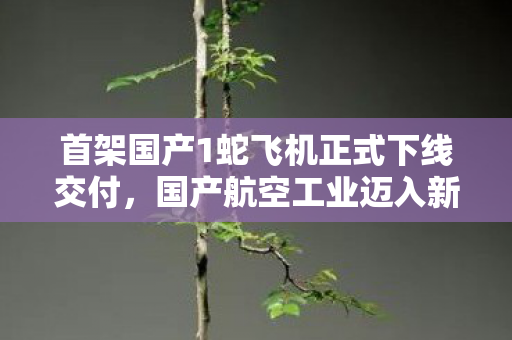 首架国产1蛇飞机正式下线交付，国产航空工业迈入新篇章