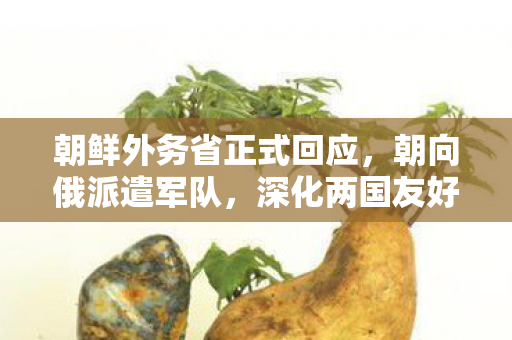 朝鲜外务省正式回应，朝向俄派遣军队，深化两国友好合作