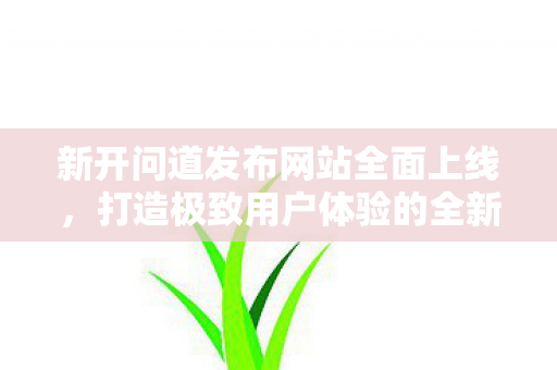 新开问道发布网站全面上线，打造极致用户体验的全新平台