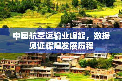 中国航空运输业崛起，数据见证辉煌发展历程