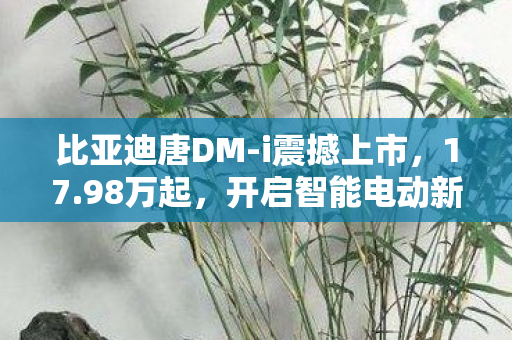 比亚迪唐DM-i震撼上市，17.98万起，开启智能电动新纪元