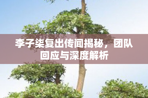 李子柒复出传闻揭秘，团队回应与深度解析