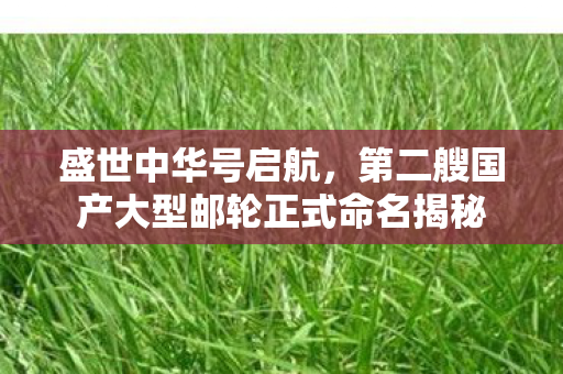 盛世中华号启航，第二艘国产大型邮轮正式命名揭秘