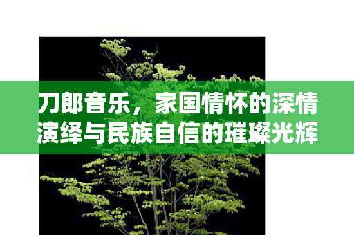 刀郎音乐，家国情怀的深情演绎与民族自信的璀璨光辉