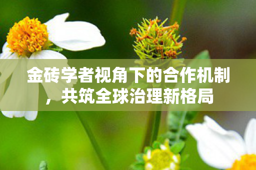 金砖学者视角下的合作机制，共筑全球治理新格局