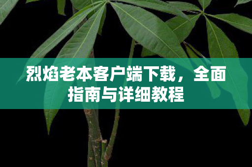 烈焰老本客户端下载，全面指南与详细教程