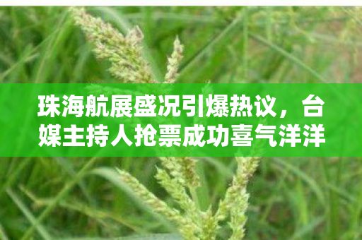 珠海航展盛况引爆热议，台媒主持人抢票成功喜气洋洋